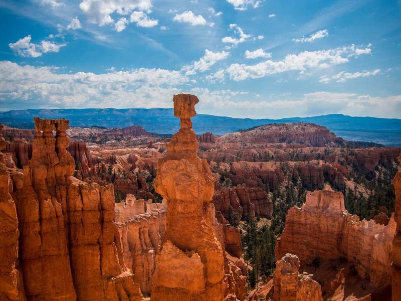 play sudoku online free screenshot 6