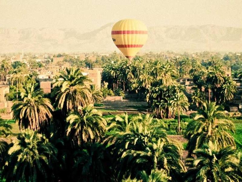 sudoku accuracy test screenshot 5