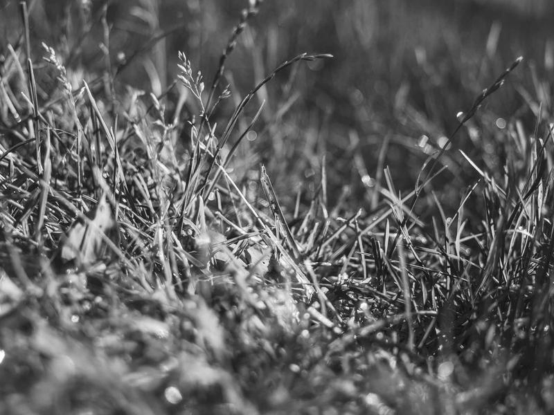 sudoku accuracy test screenshot 3